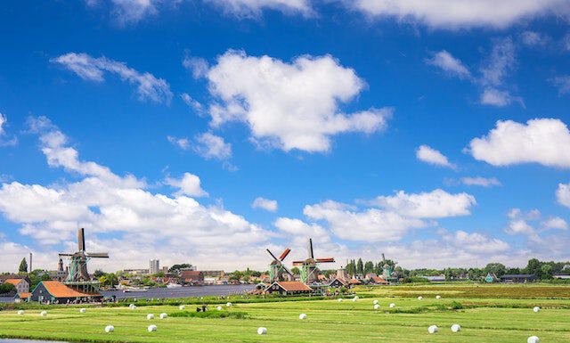 Nie tylko tulipany…, czyli z czego słynie Holandia holenderskie wiatraki