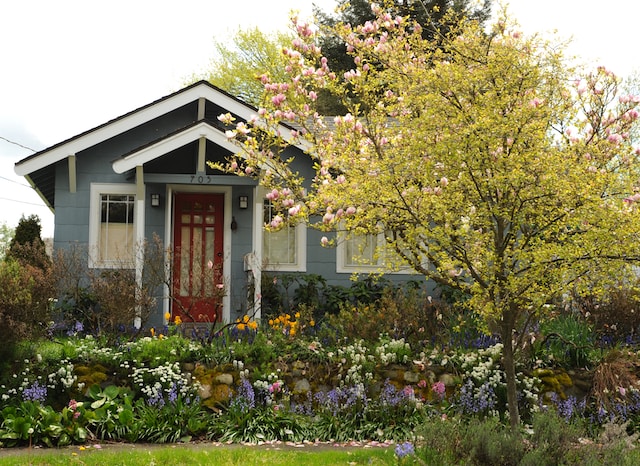 Drewniany, niebieski domek z bujnym ogrodem