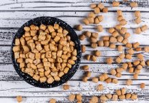 Jaka jest najlepsza karma dla psa? Karma dla psa